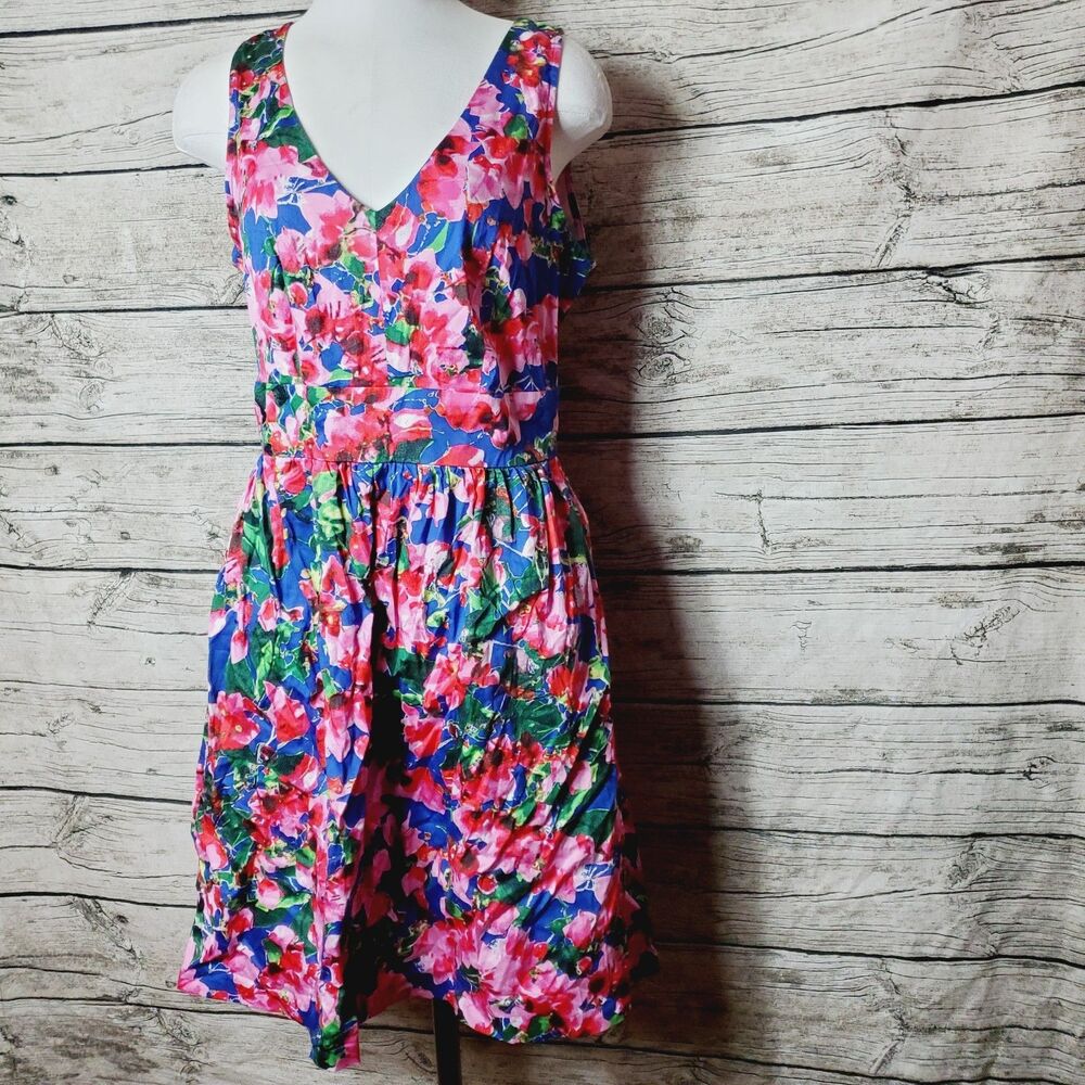 Milly Floral Fit & Flare Dress Blue Pink Sleeveless Gold Zip Size 8